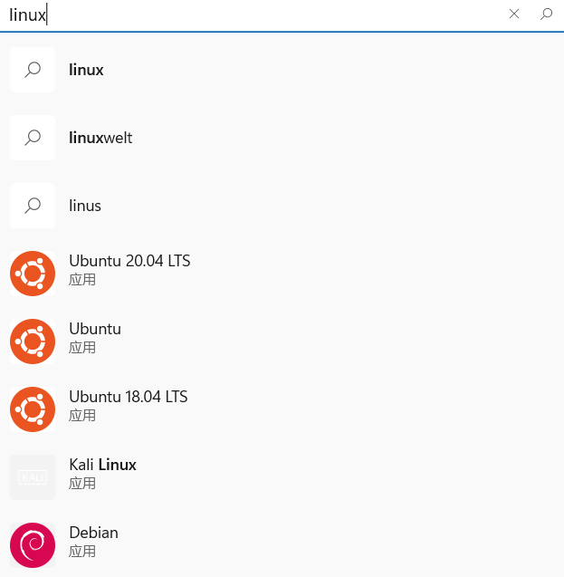 Microsoft Store Search Result